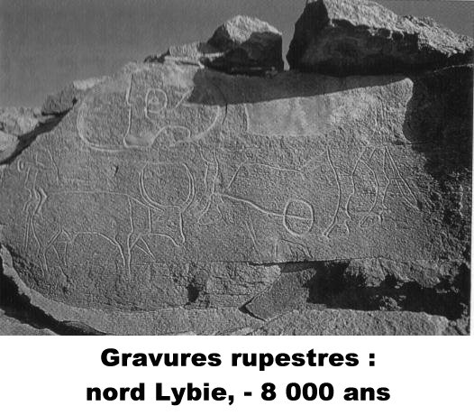 gravure rupestre.jpg